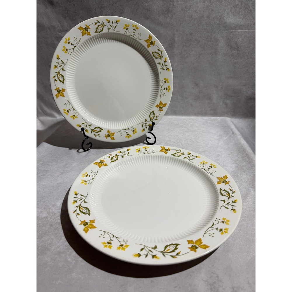 Amcrest Springfield Tradition Ironstone Dinner Plates Japan Yellow Floral‎ Set 2